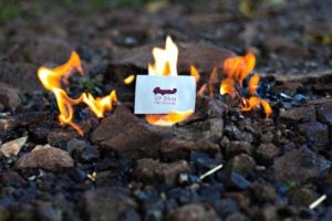 UP DNM FINE TAILORING